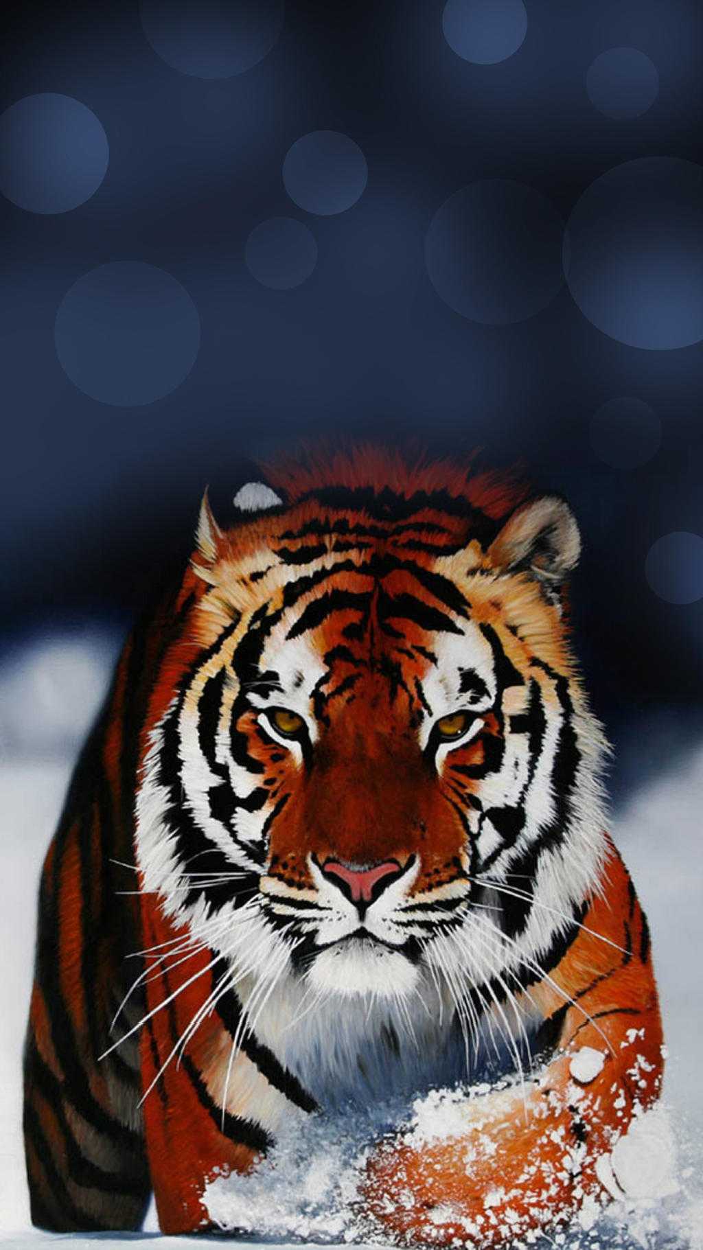 Tiger Galaxy Wallpapers