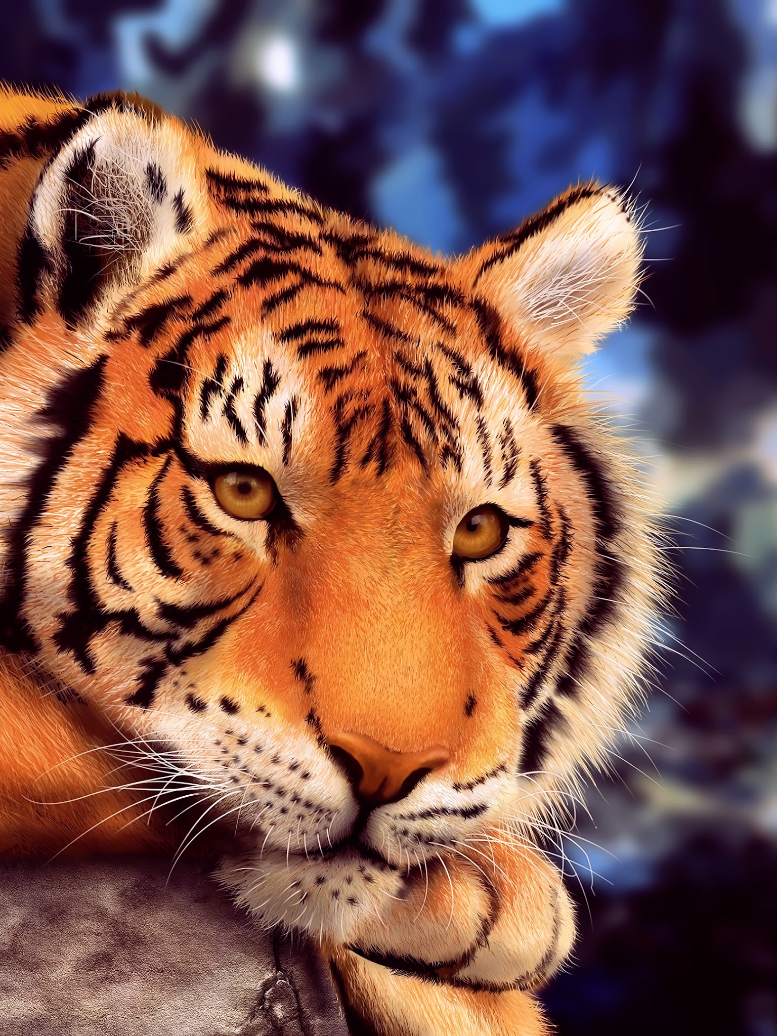 Tiger Galaxy Wallpapers