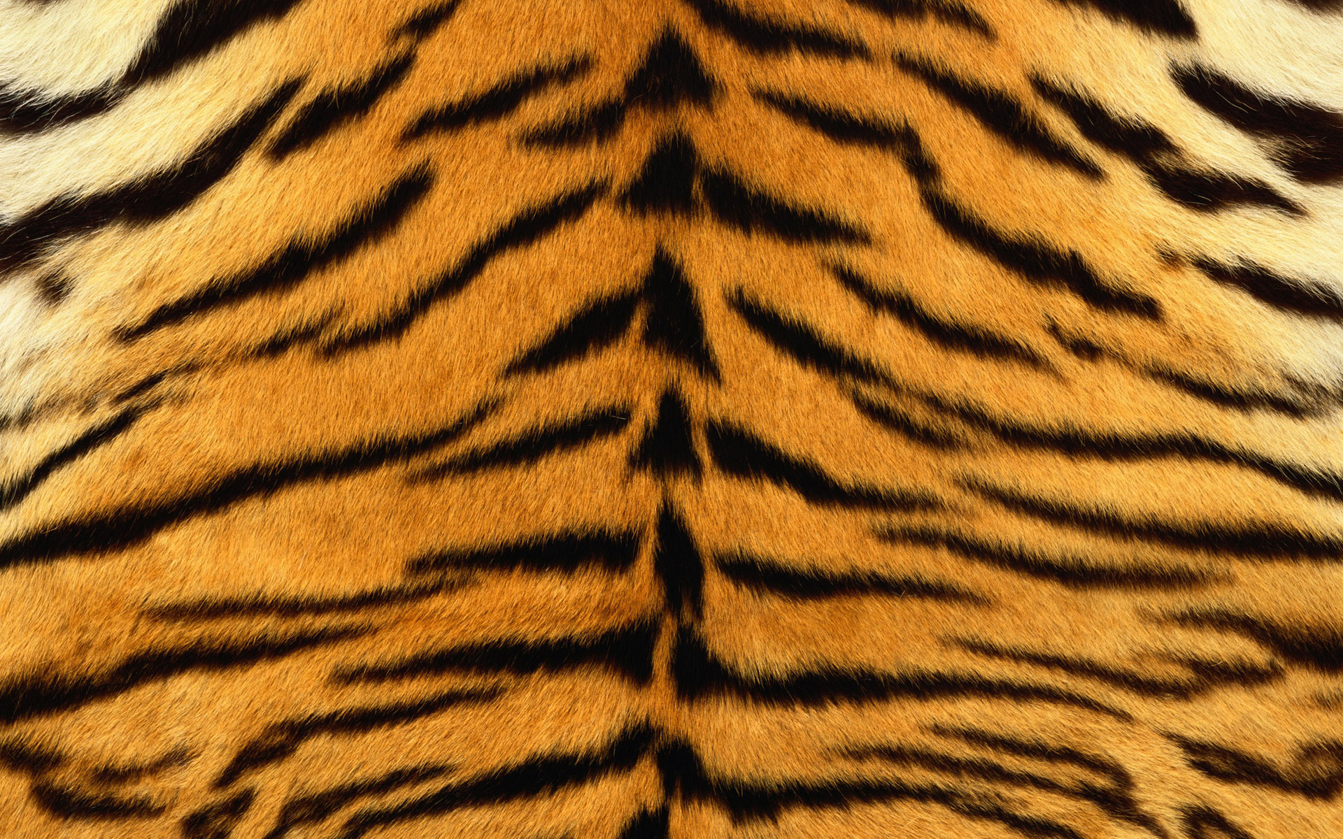 Tiger Print Wallpapers