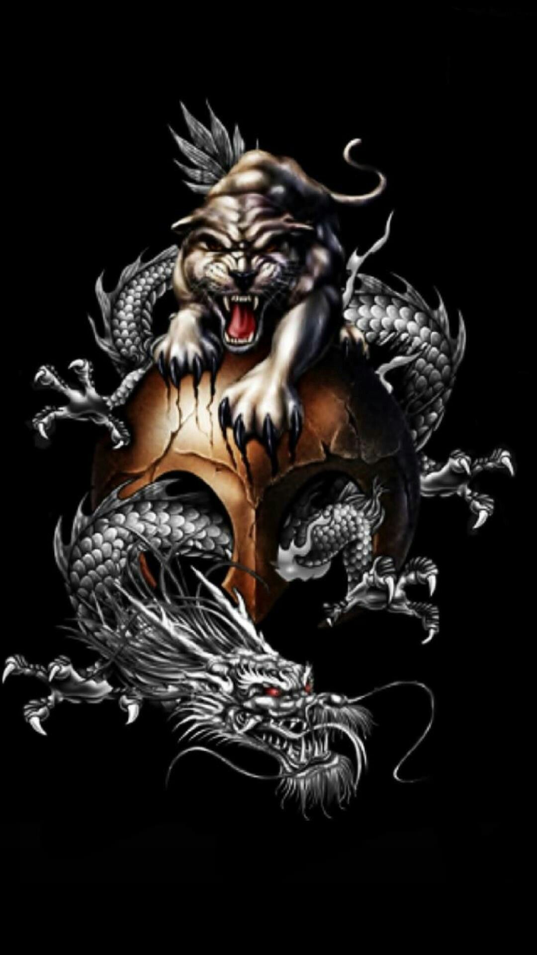 Tiger Vs Dragon Wallpapers