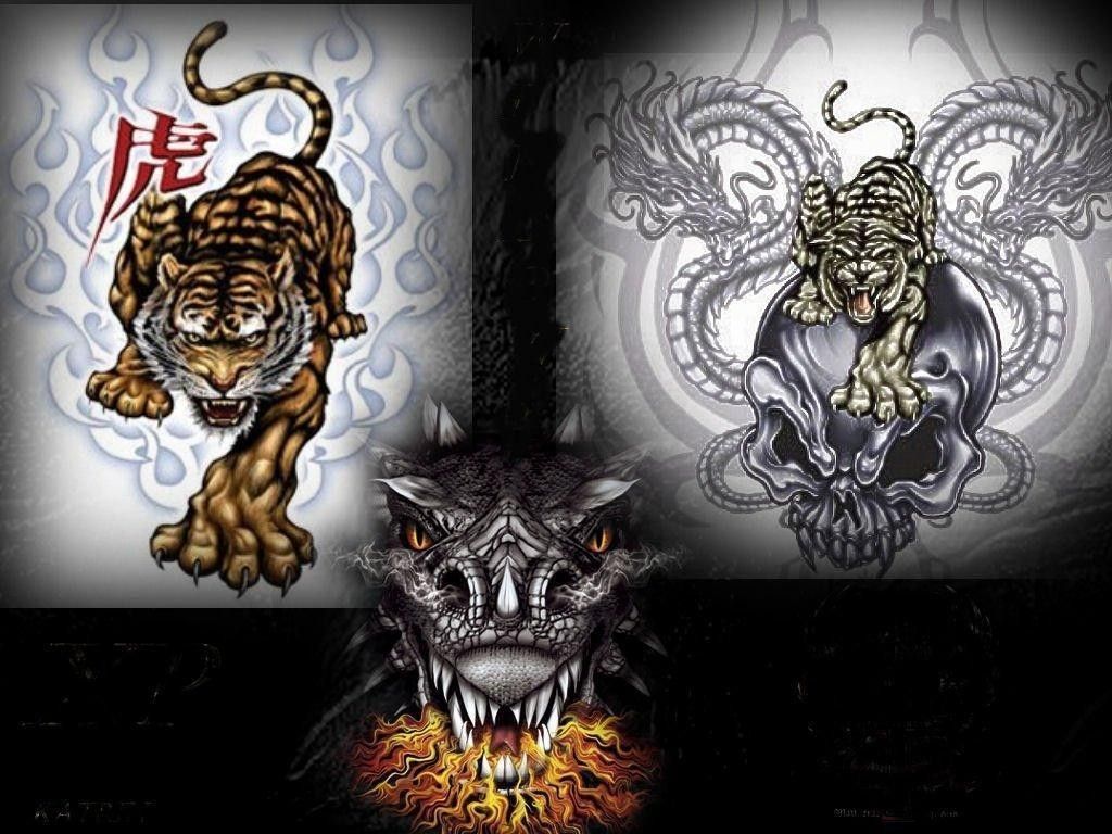 Tiger Vs Dragon Wallpapers