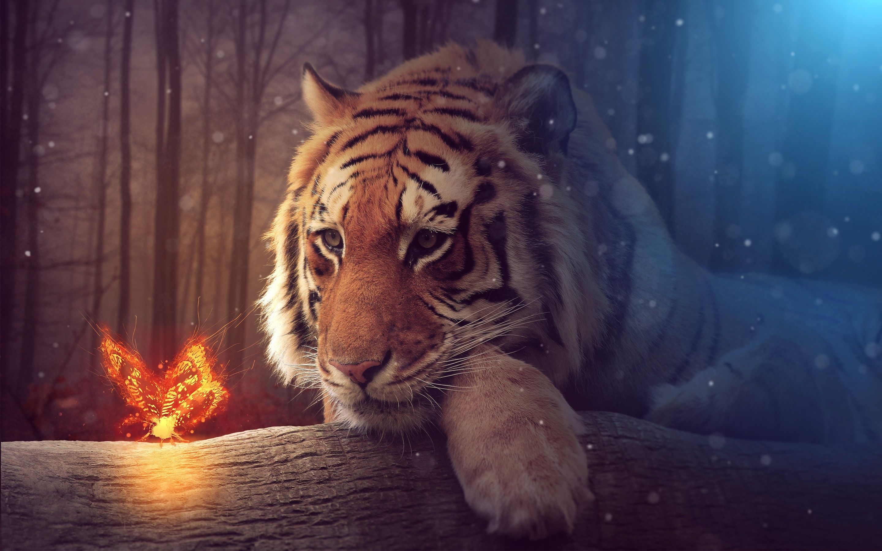 Tiger Free Wallpapers