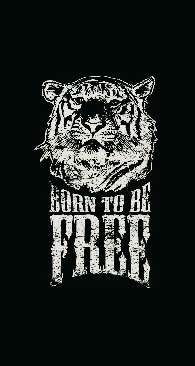 Tigers Iphone Wallpapers