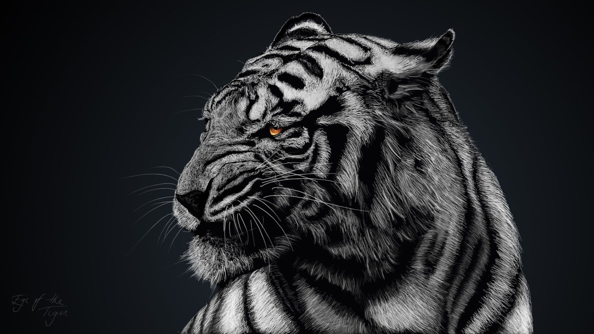 Tigers Wallpapers