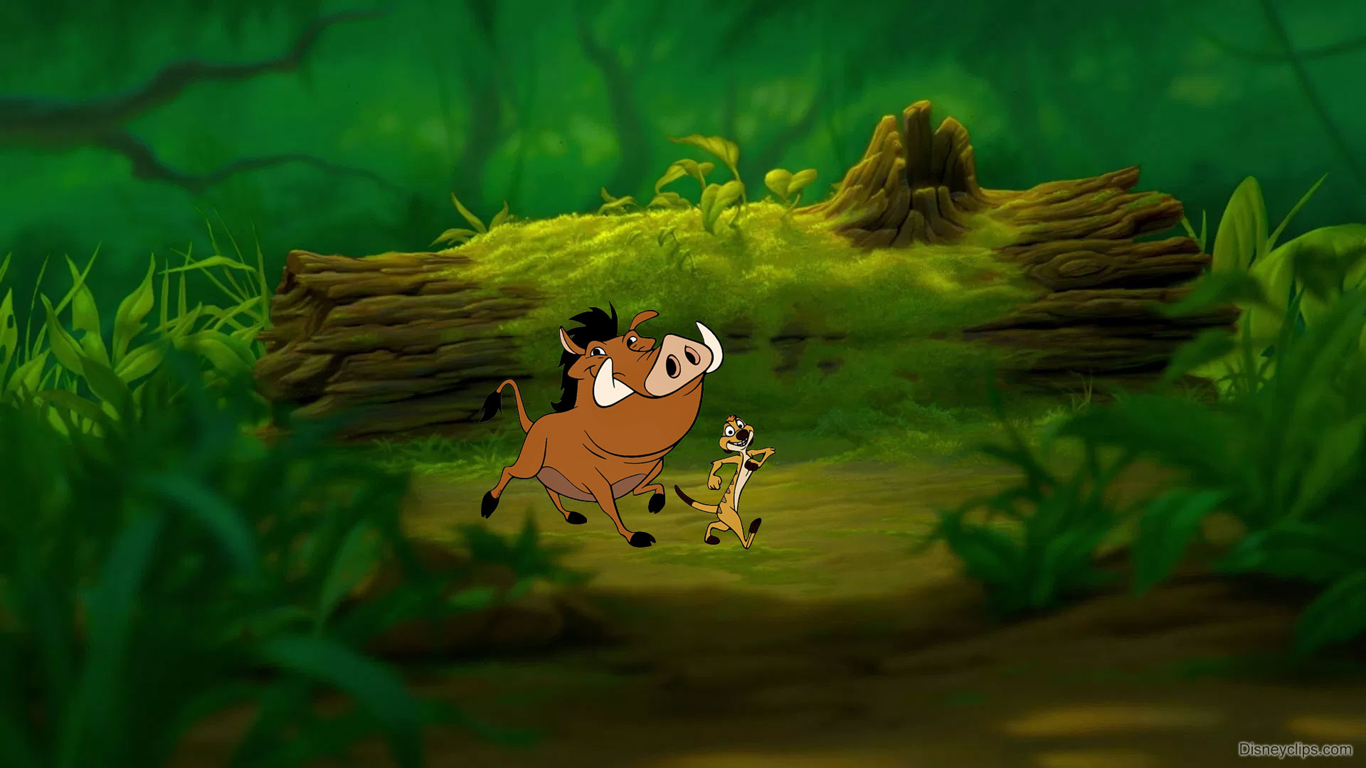 Timon And Pumbaa Wallpapers