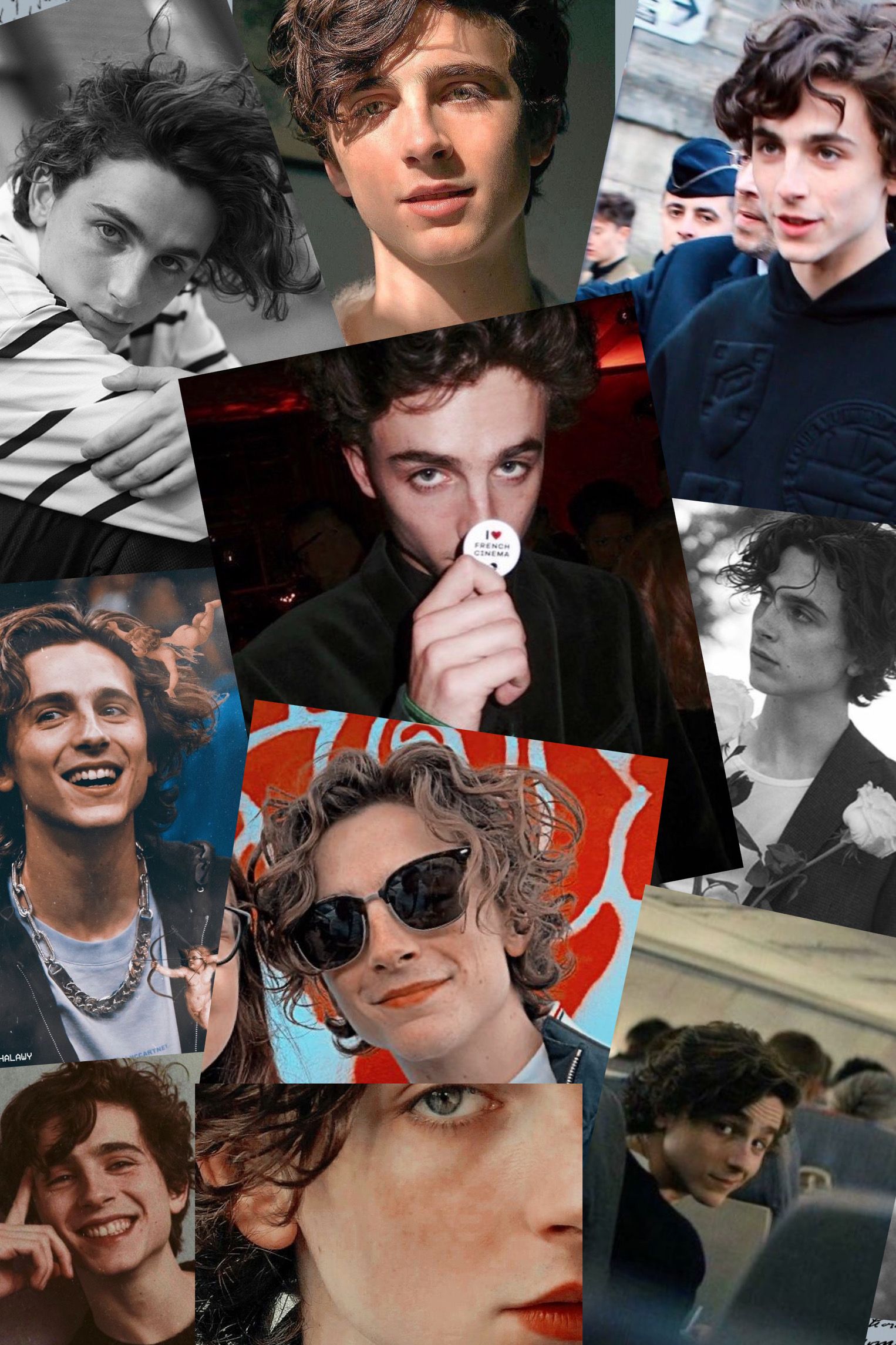 Timothee Chalamet Wallpapers