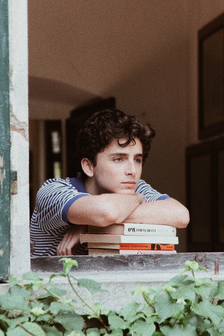 Timothee Chalamet Wallpapers