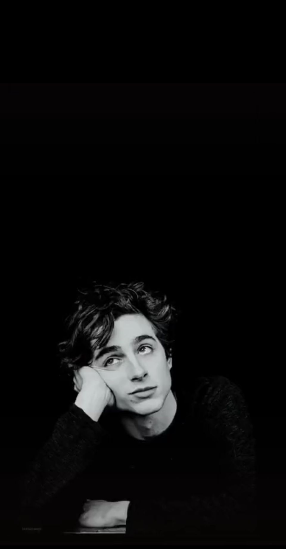 Timothee Chalamet Wallpapers