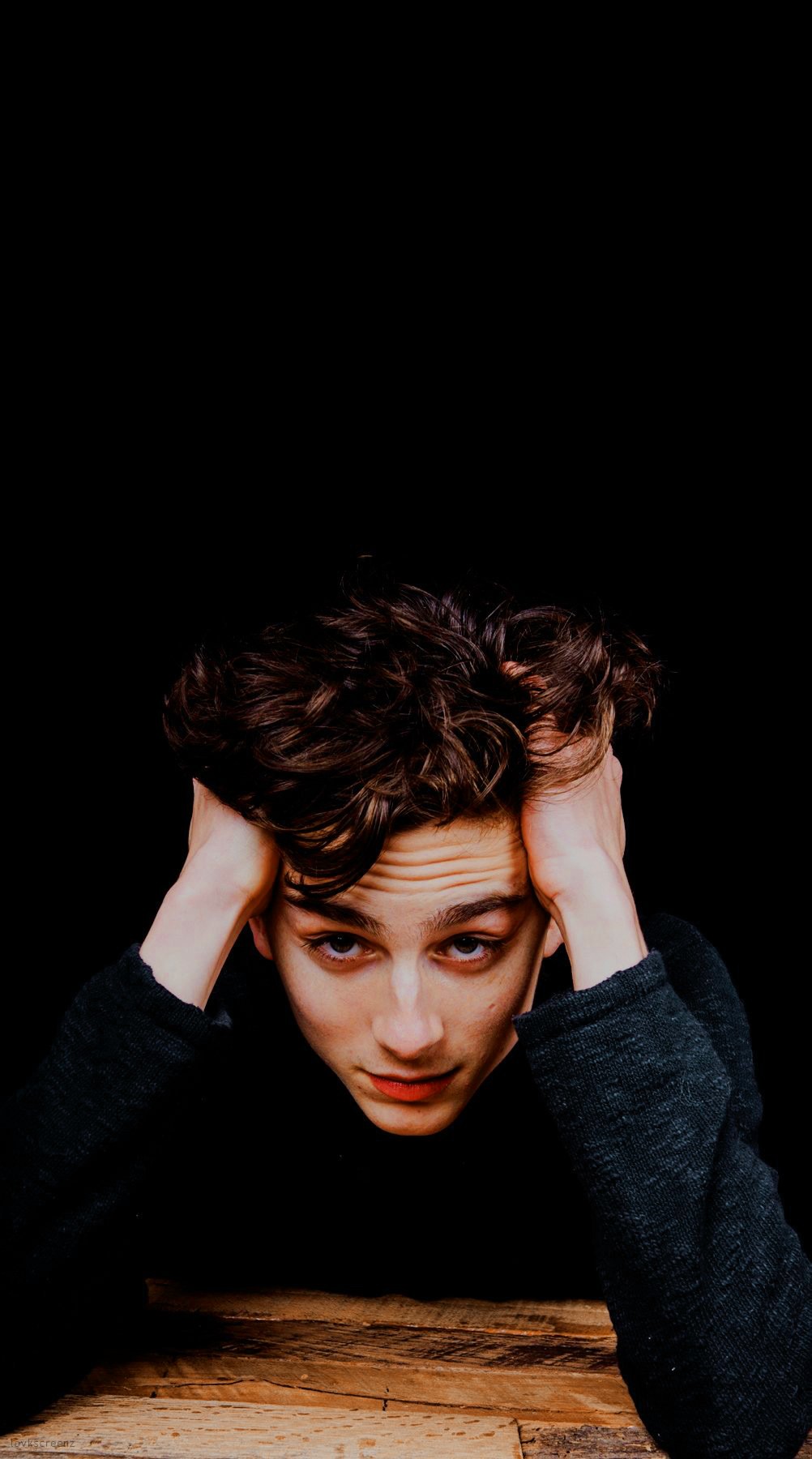 Timothee Chalamet Wallpapers