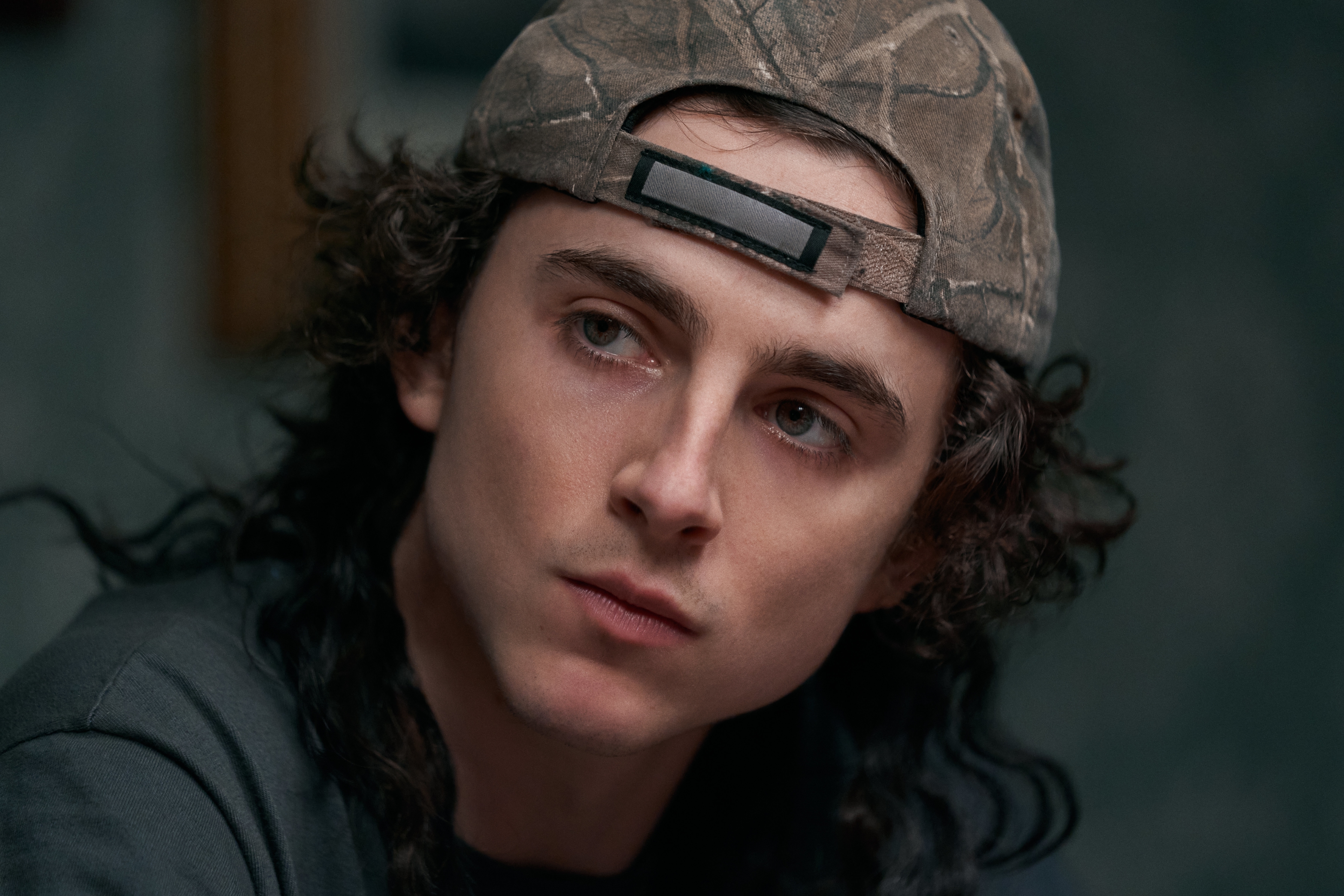 Timothee Chalamet Wallpapers