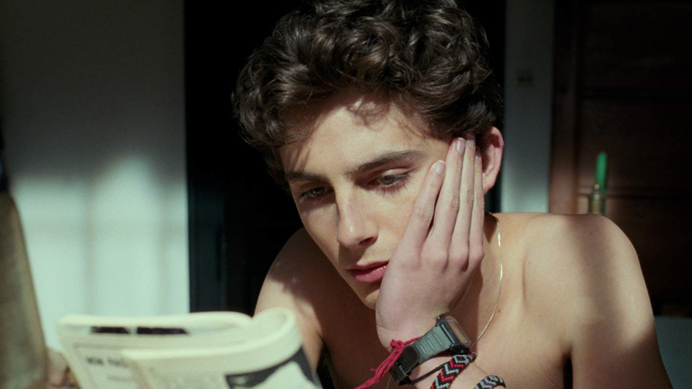 Timothee Chalamet Wallpapers