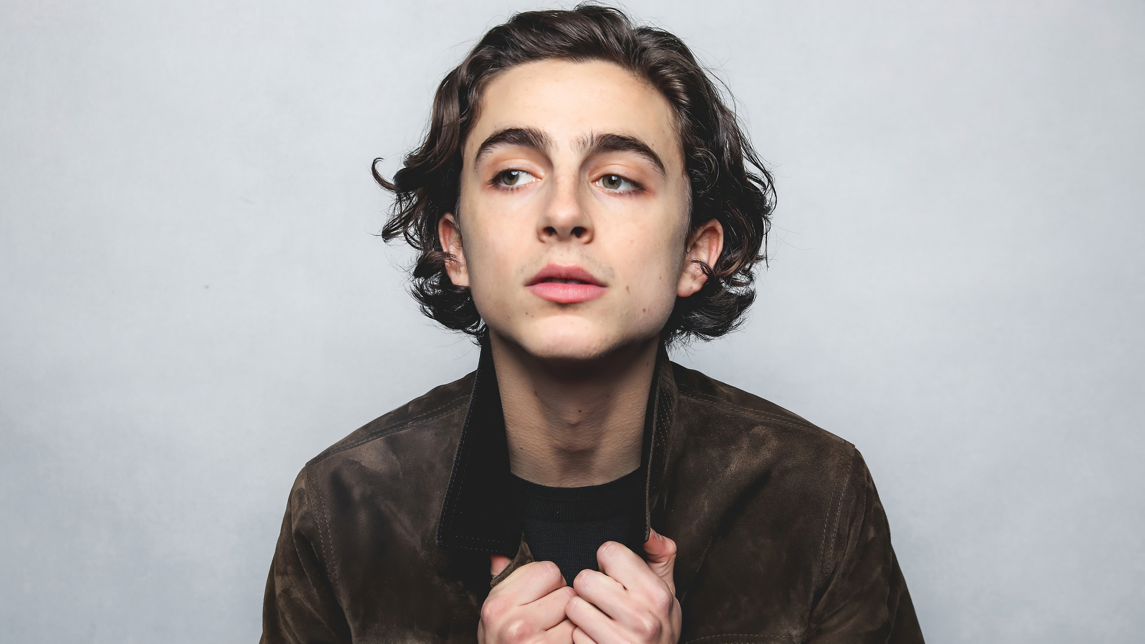 Timothee Chalamet Wallpapers