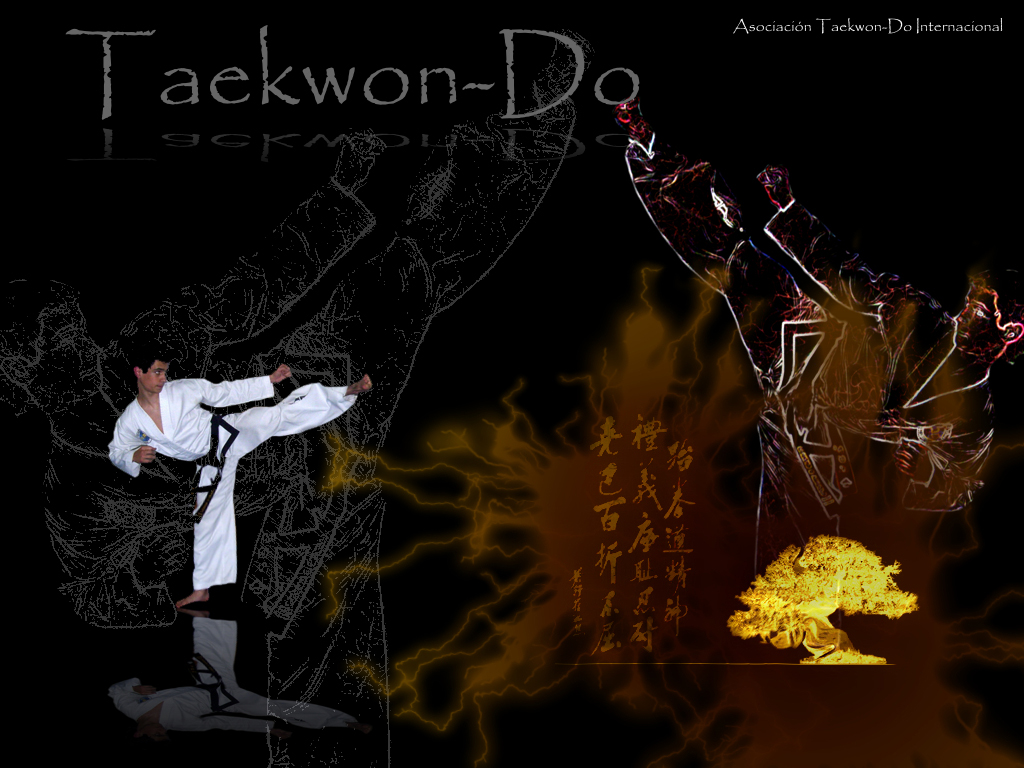 Tkd Wallpapers