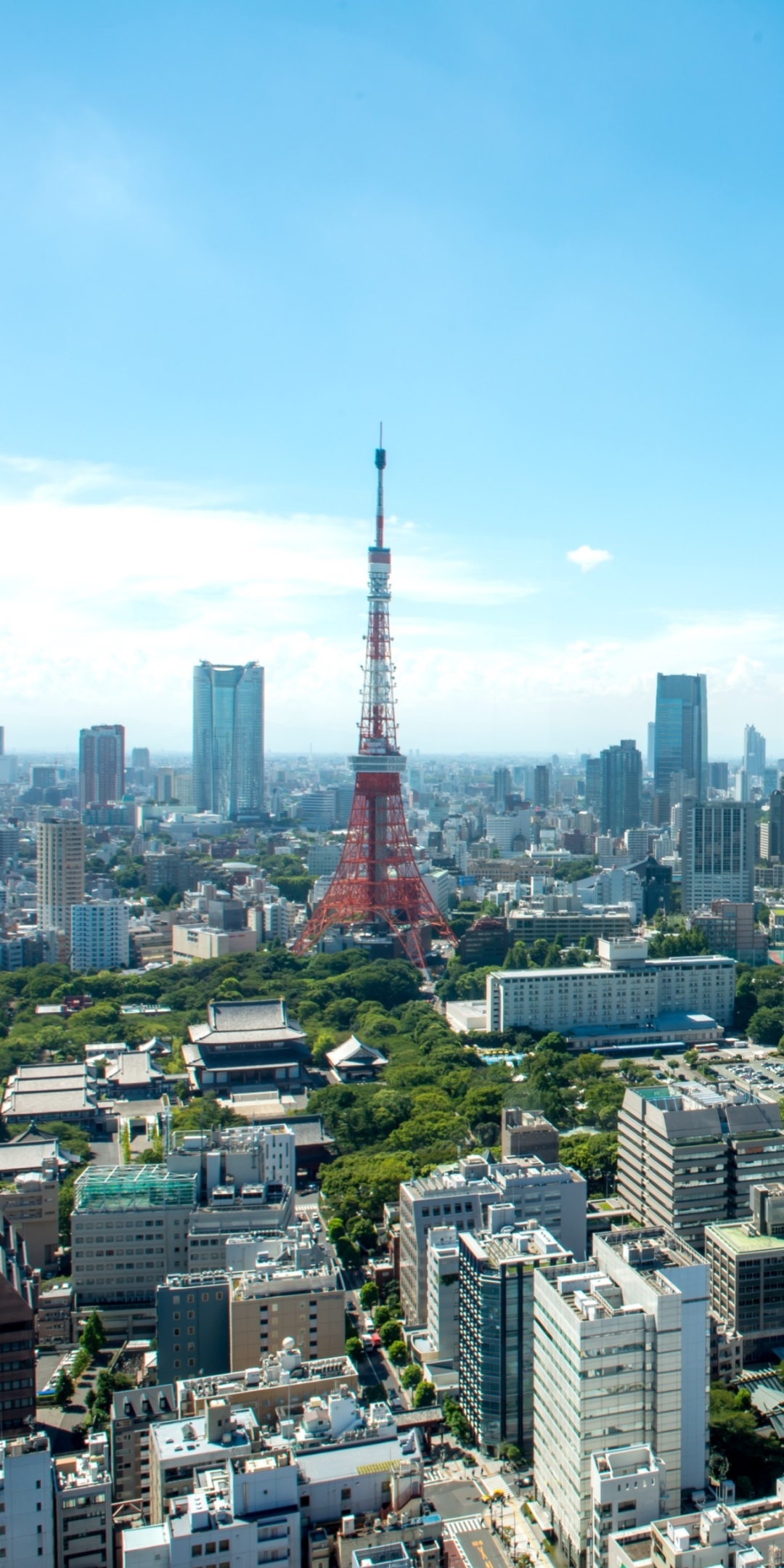 Tokyo Phone Wallpapers