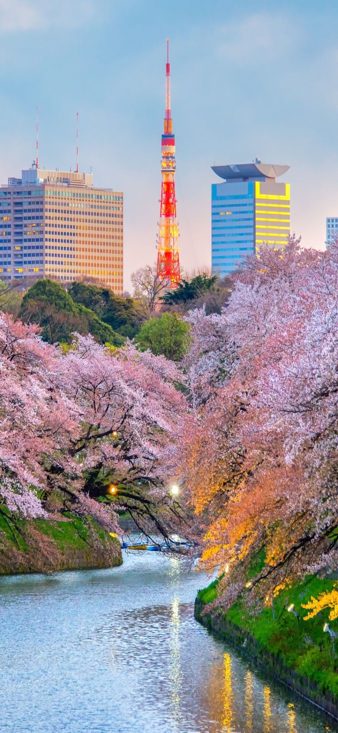 Tokyo Phone Wallpapers