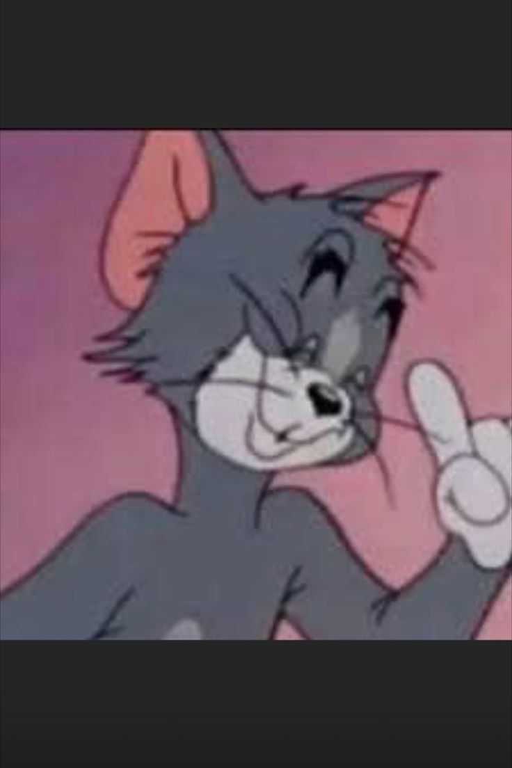 Tom And Jerry Funny Wallpapers