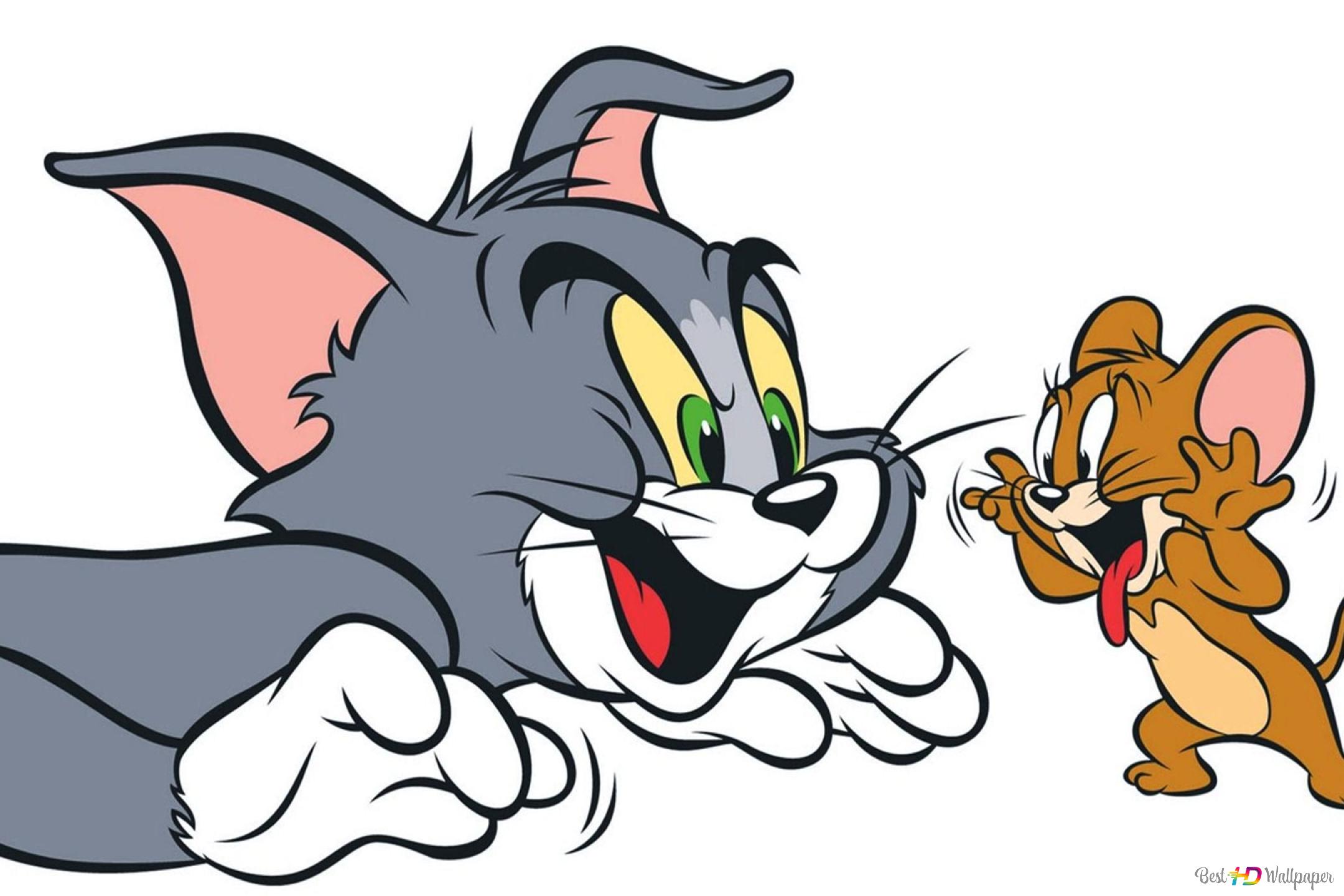 Tom And Jerry Funny Wallpapers