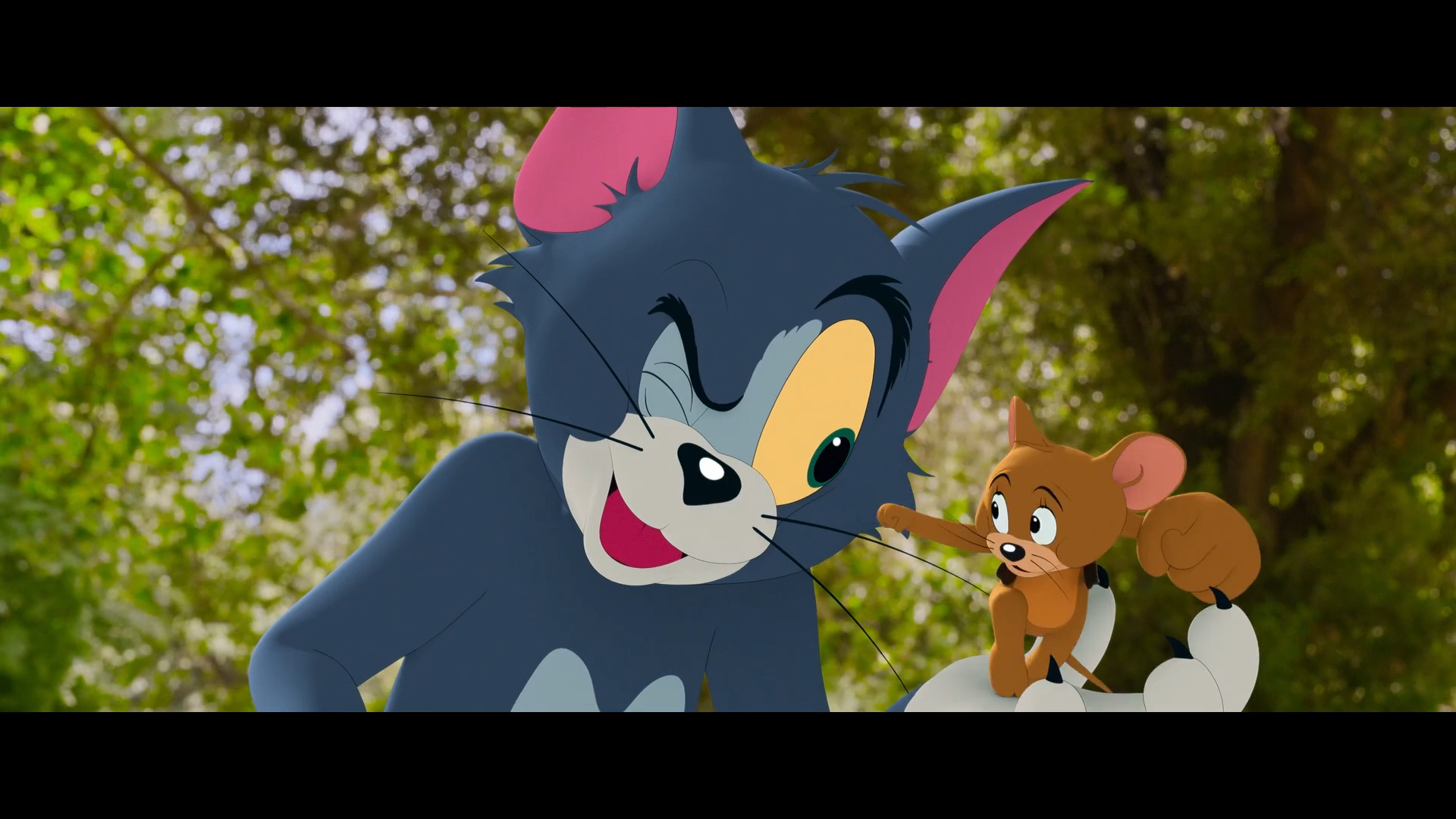 Tom And Jerry Funny Wallpapers