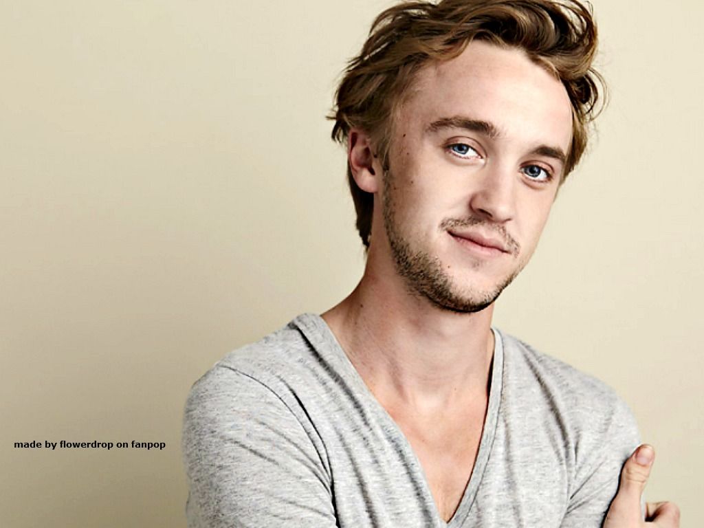 Tom Felton Wallpapers