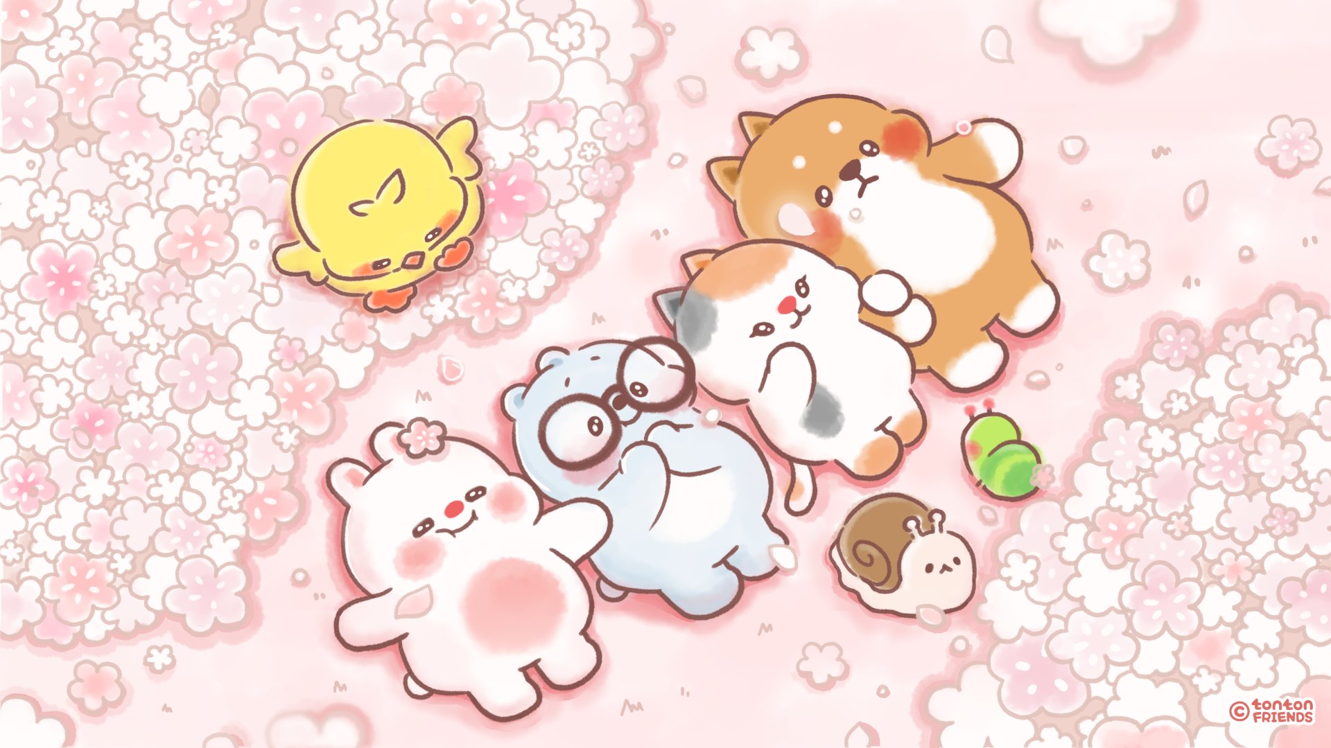 Tonton Friends Wallpapers