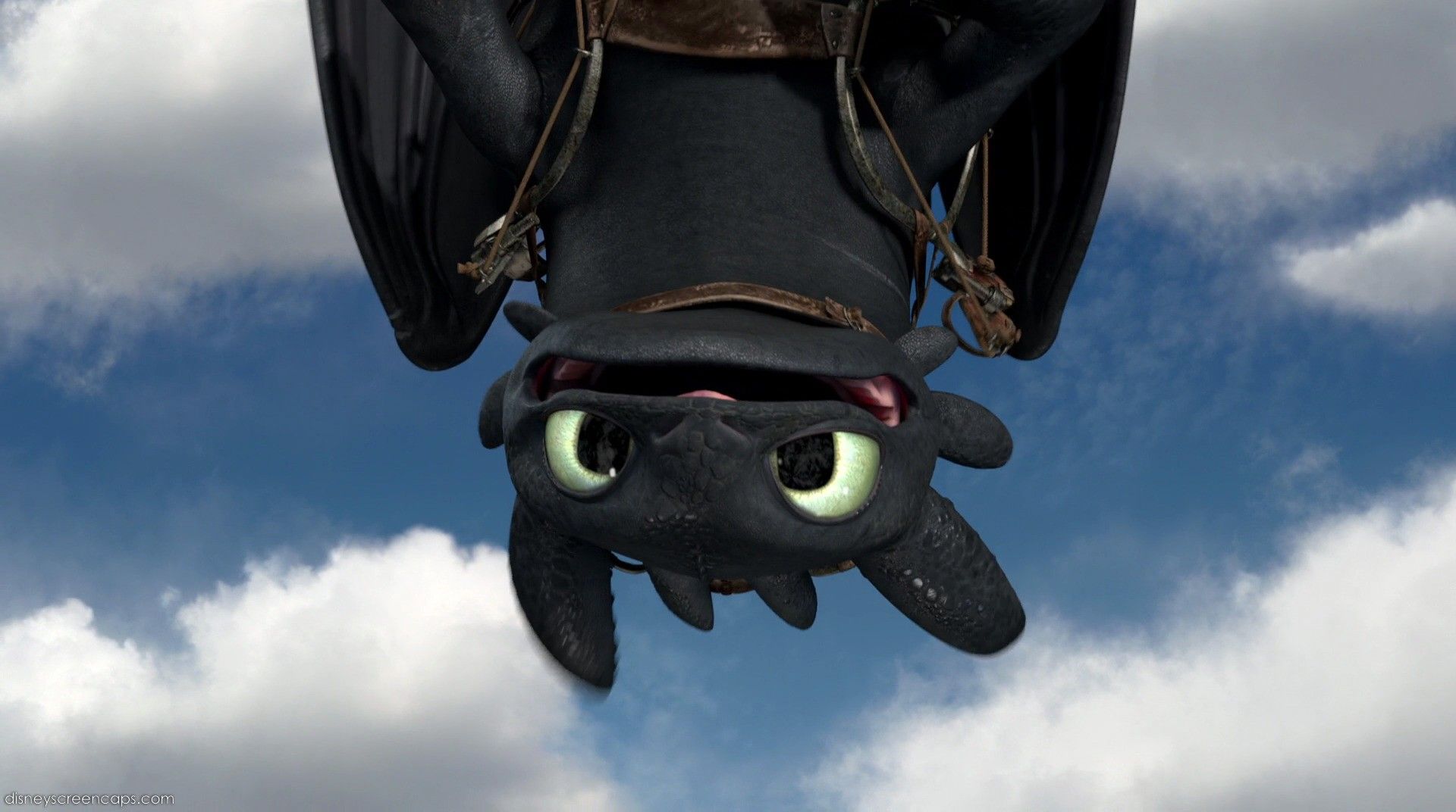 Toothless Wallpapers