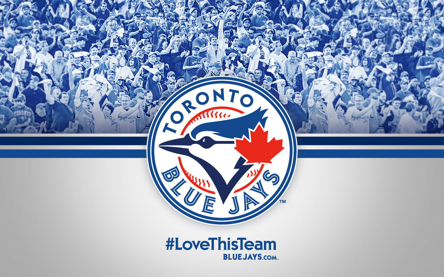 Toronto Blue Jay Wallpapers