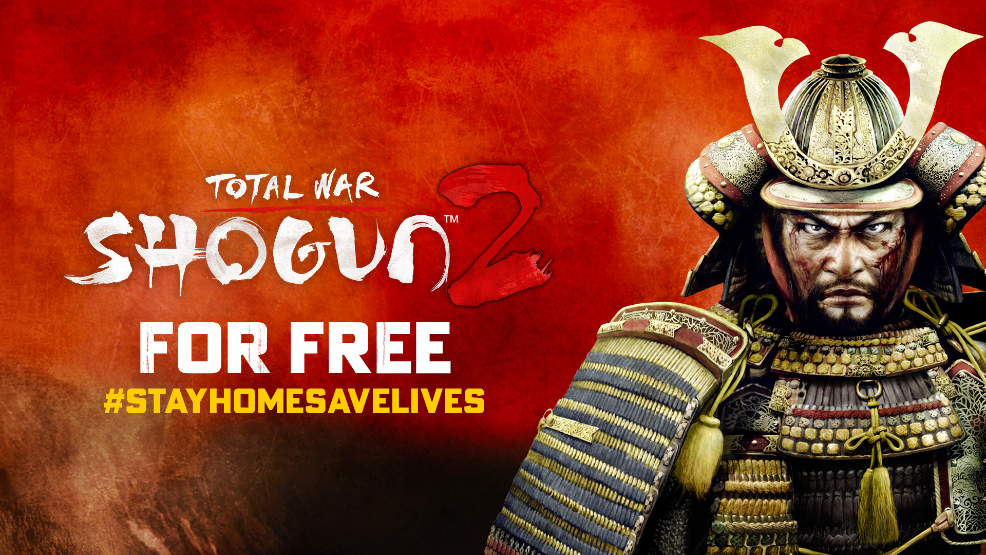 Total War Shogun 2 Ninja Wallpapers