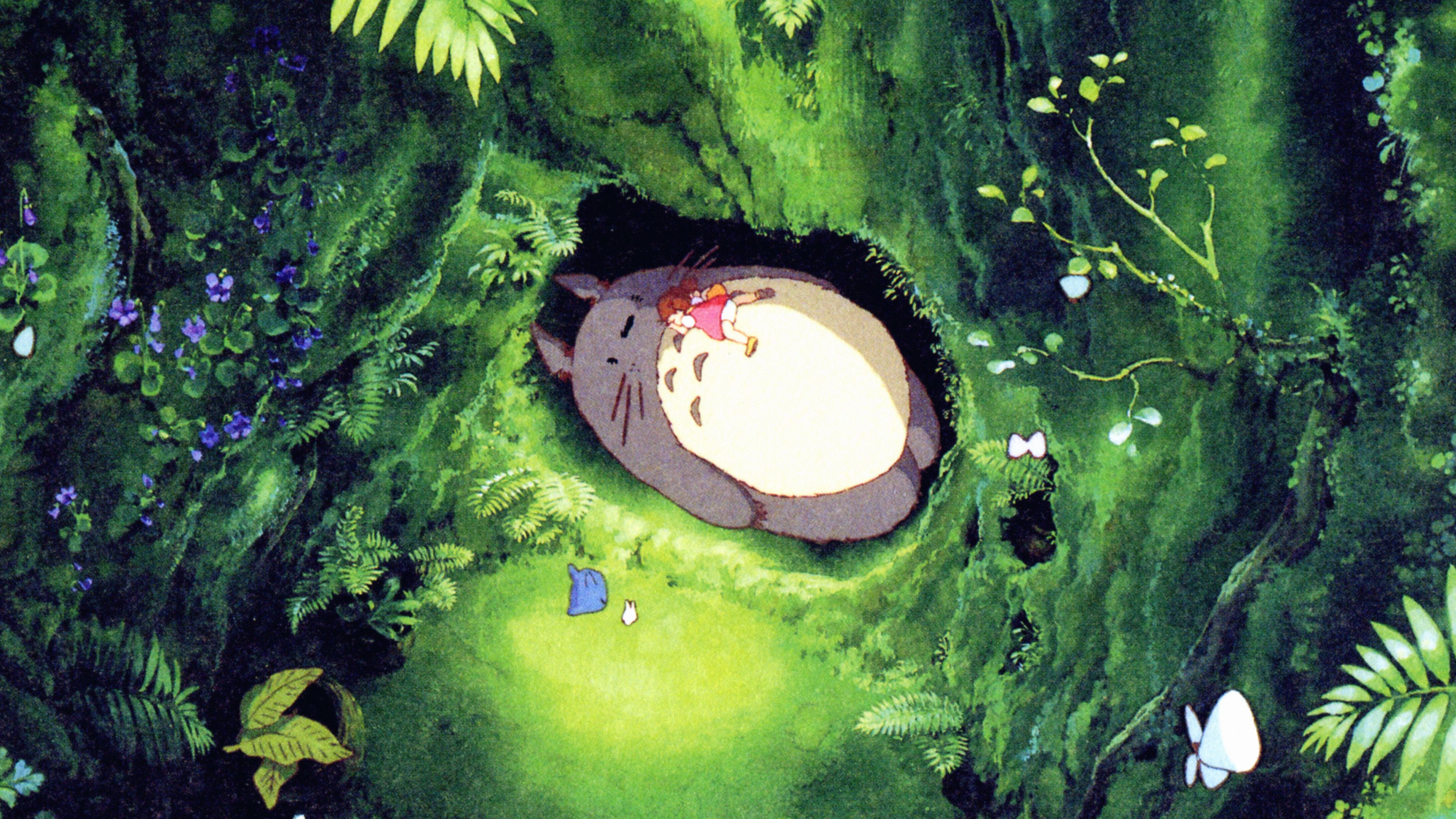 Totoro Desktop Wallpapers