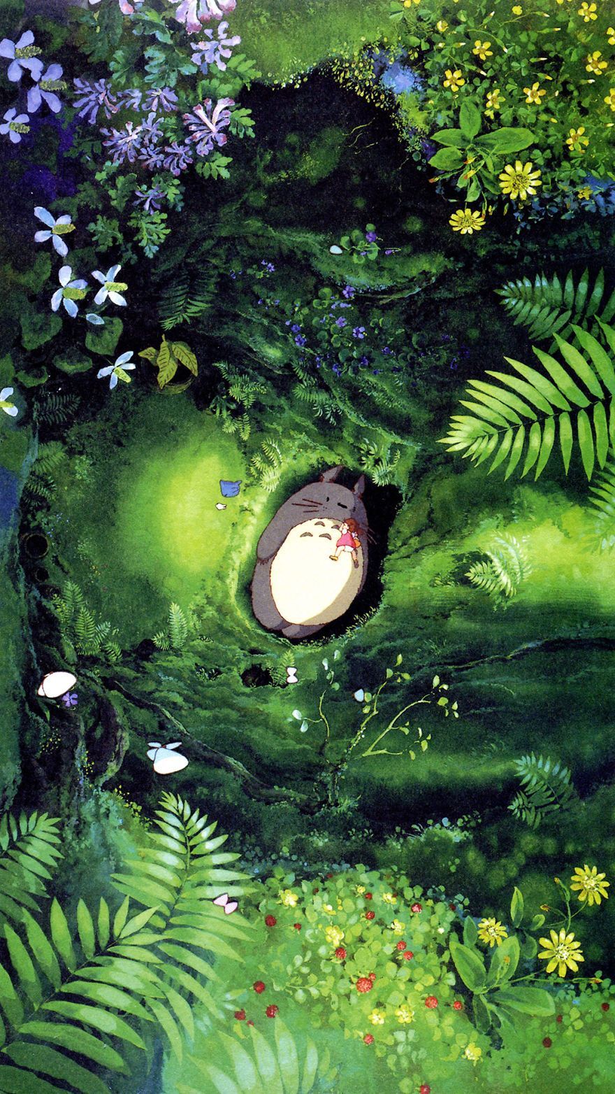 Totoro Iphone Wallpapers