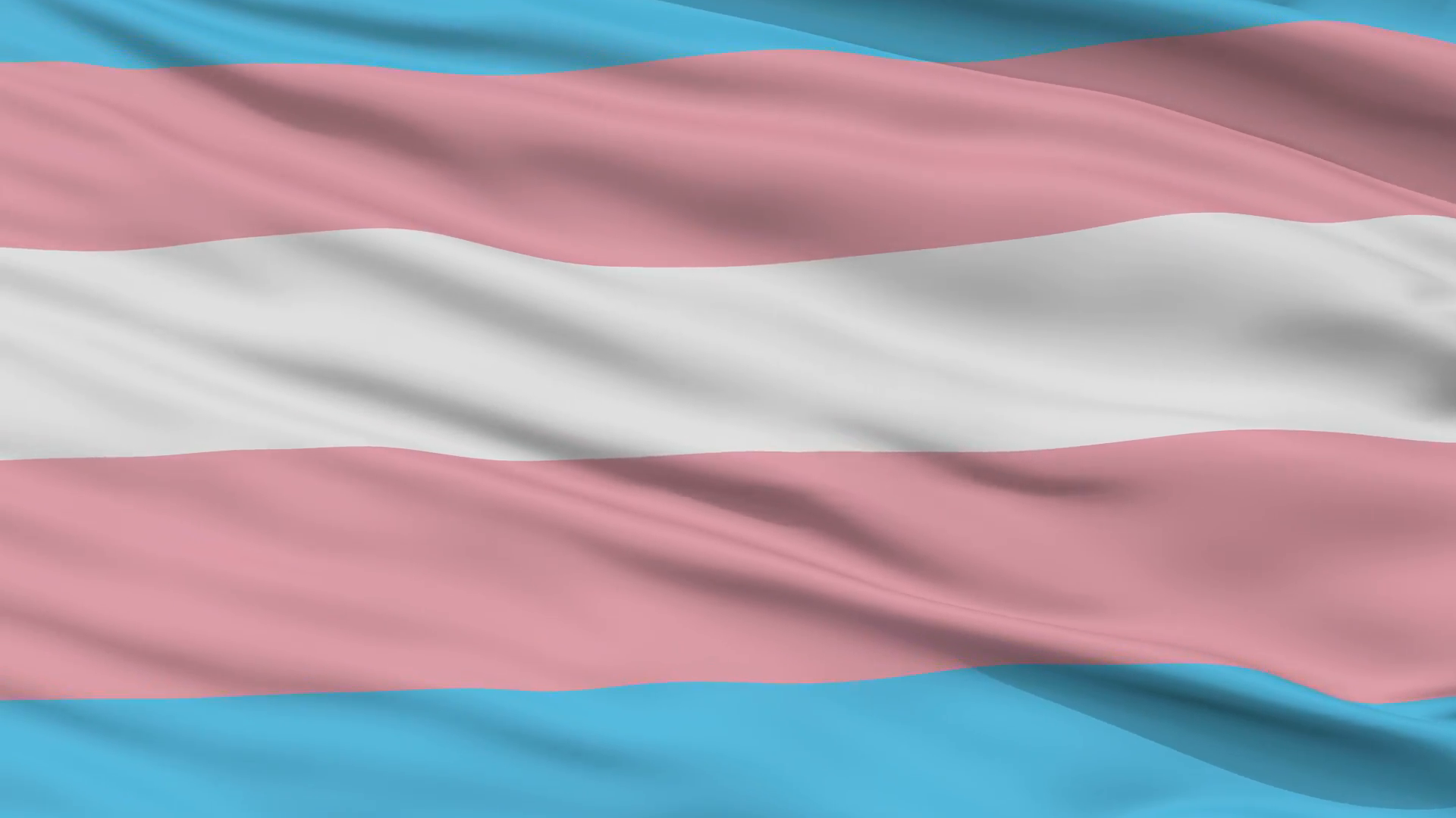 Trans Flag Wallpapers