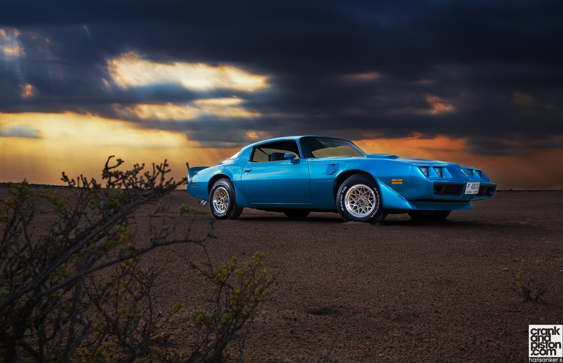 Transam Wallpapers