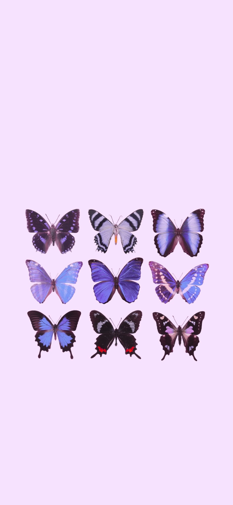 Travis Scott Butterfly Wallpapers