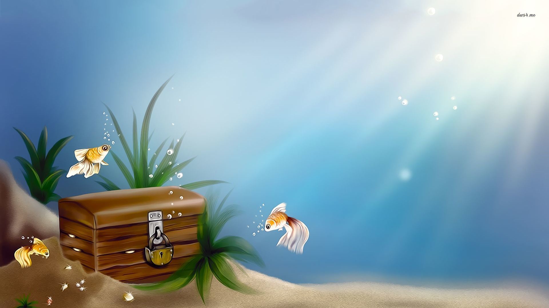 Treasure Chest Wallpapers