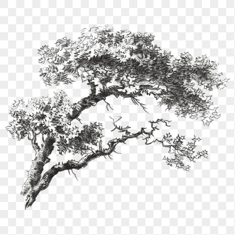 Tree Art Wallpapers