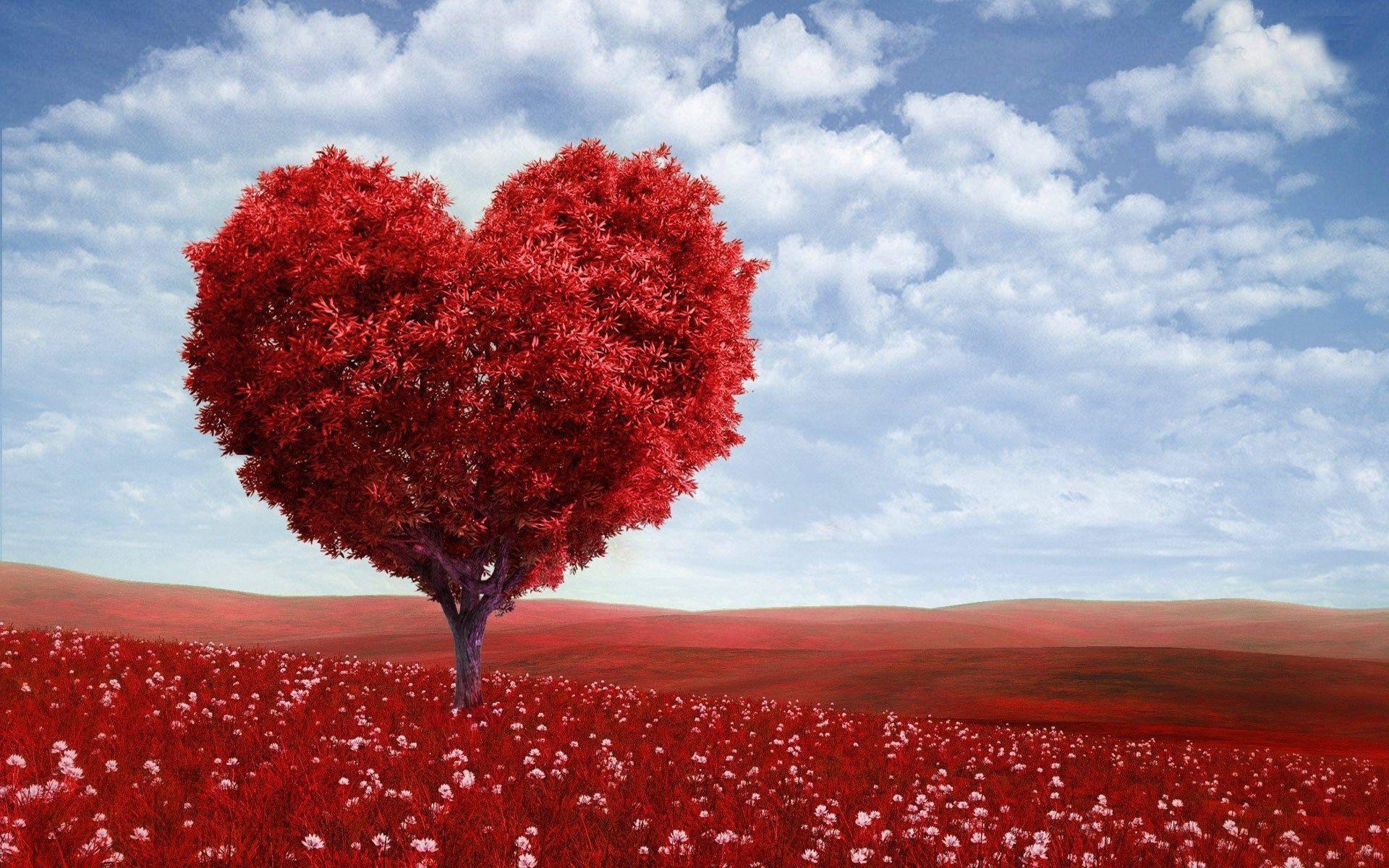 Tree For Love Wallpapers