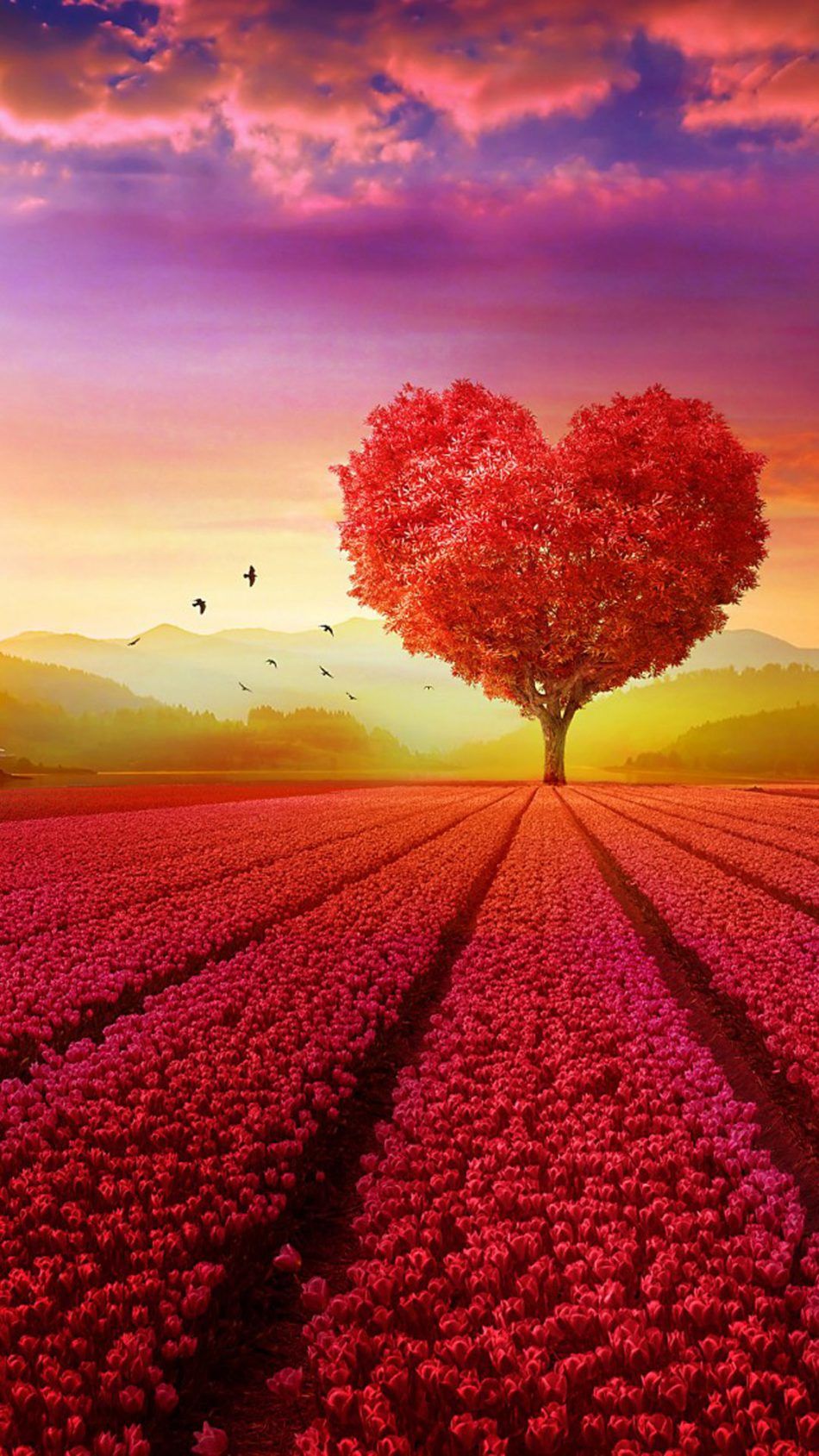 Tree For Love Wallpapers