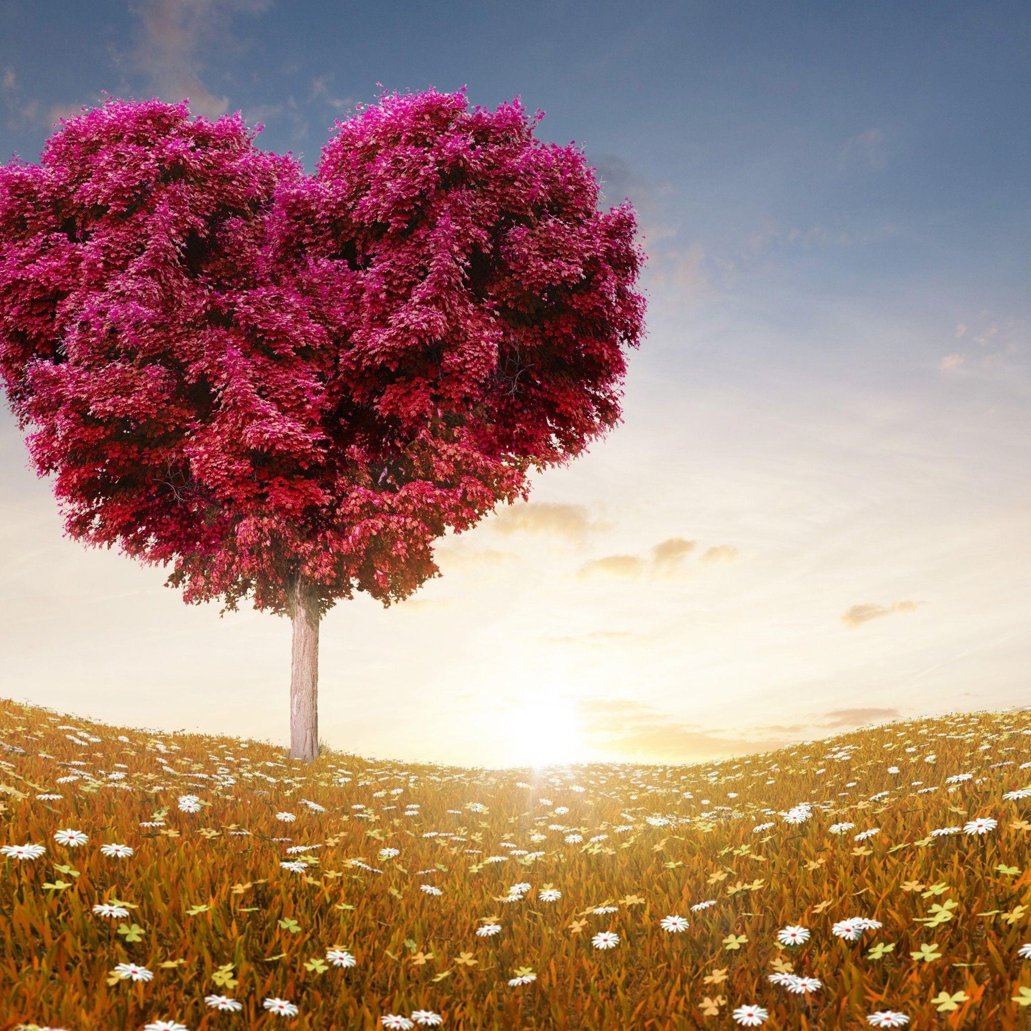 Tree For Love Wallpapers