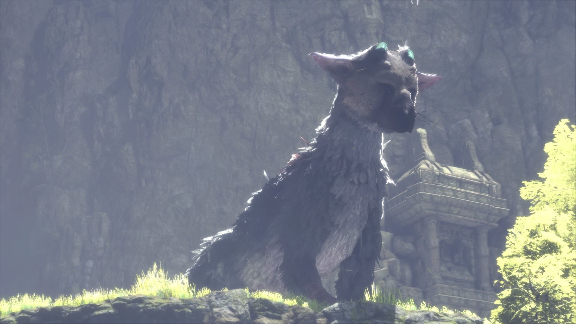 Trico The Last Guardian Wallpapers