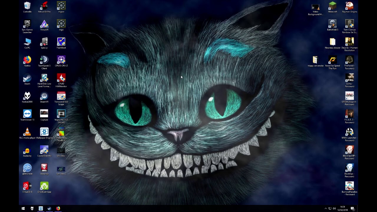 Trippy Cat Wallpapers
