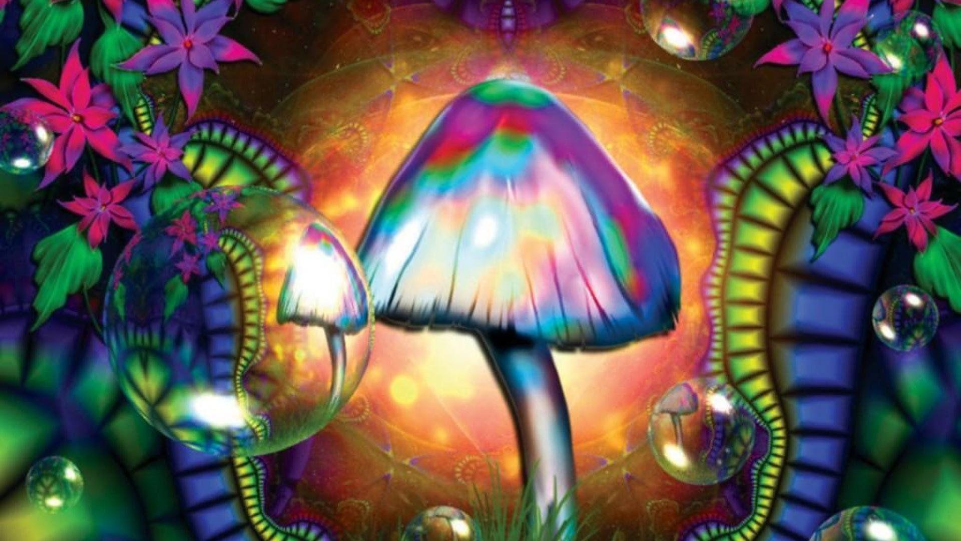 Trippy Mushroom Wallpapers