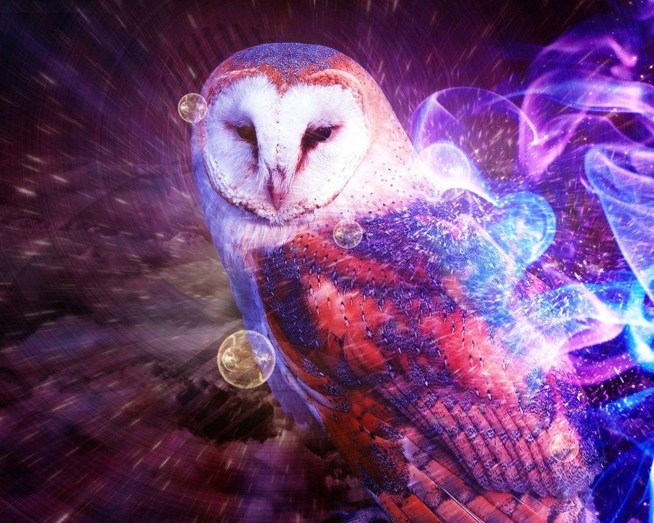 Trippy Owl Wallpapers