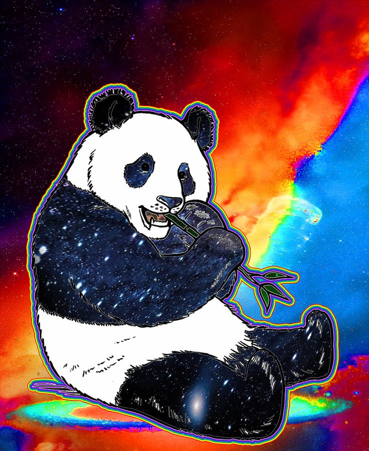 Trippy Panda Wallpapers