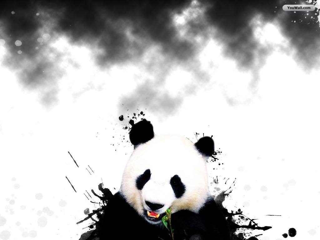 Trippy Panda Wallpapers