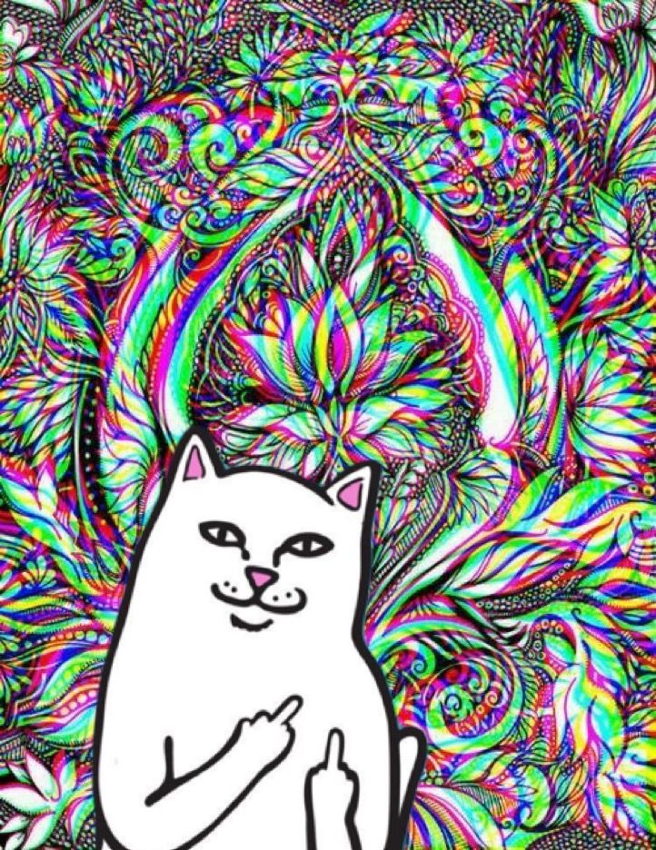 Trippy Stoner Wallpapers