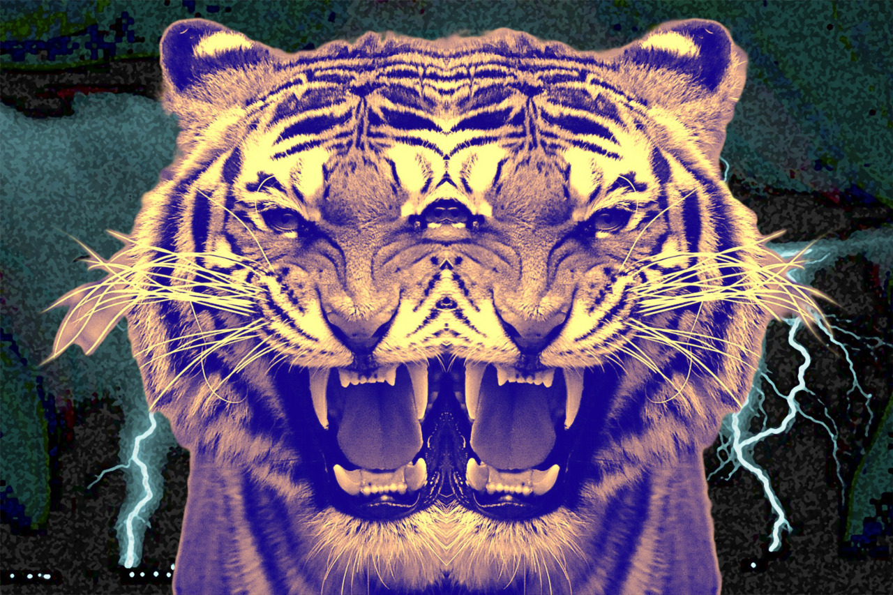 Trippy Tiger Pictures Wallpapers