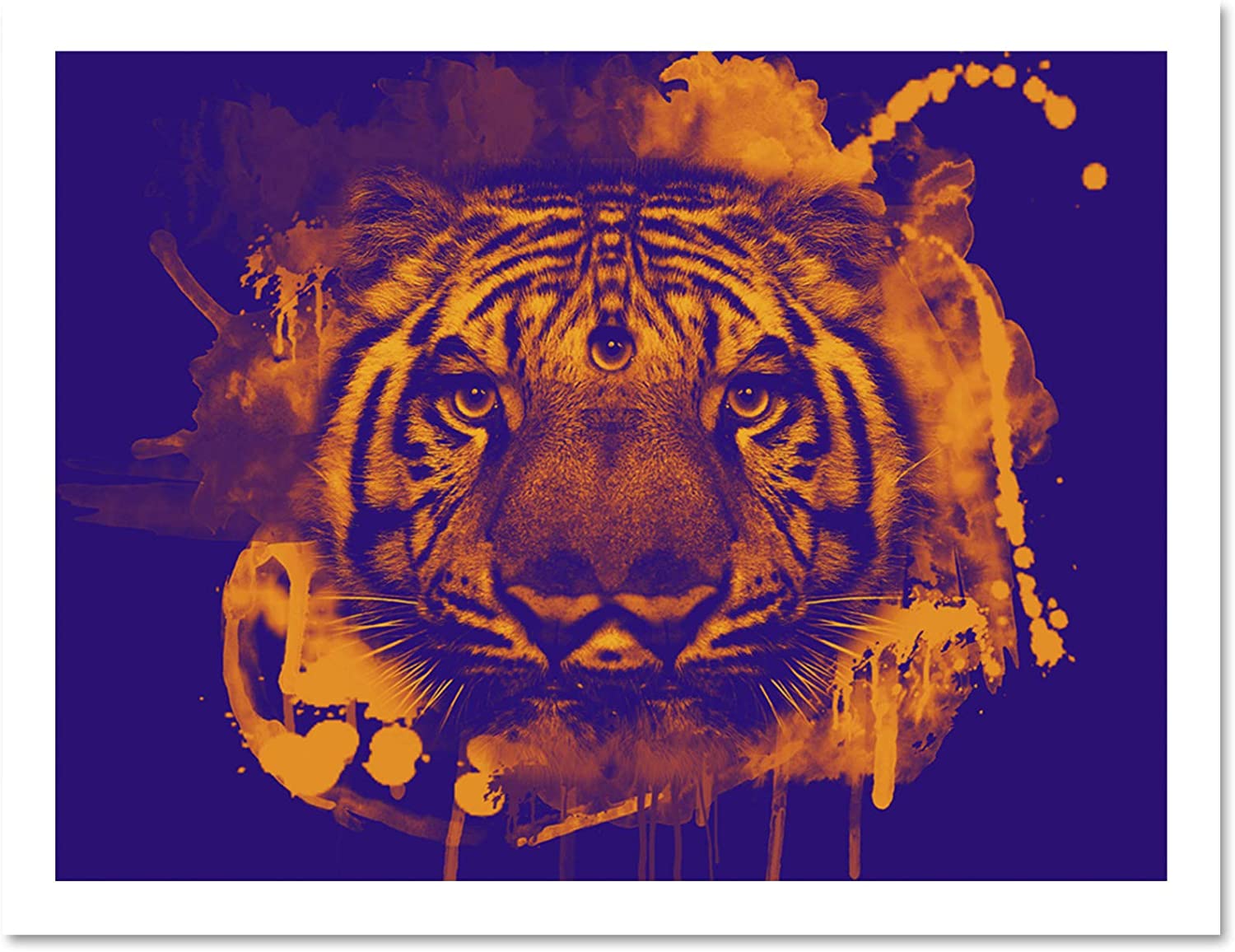 Trippy Tiger Pictures Wallpapers