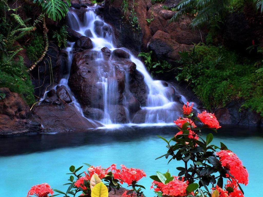 Tropic Waterfall Wallpapers