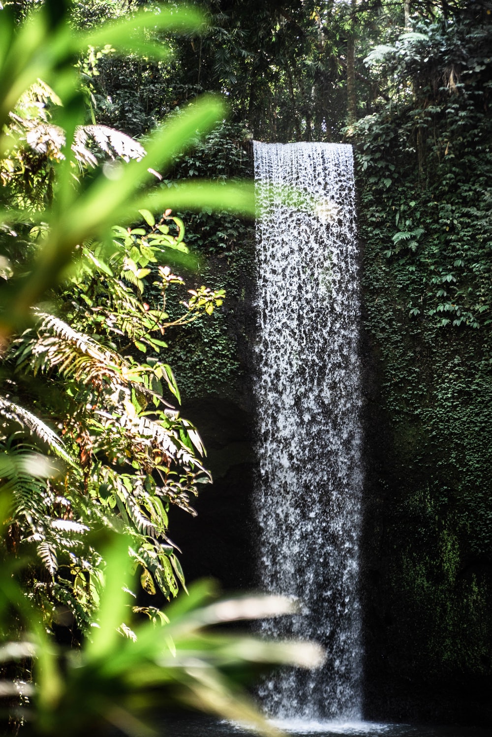 Tropic Waterfall Wallpapers