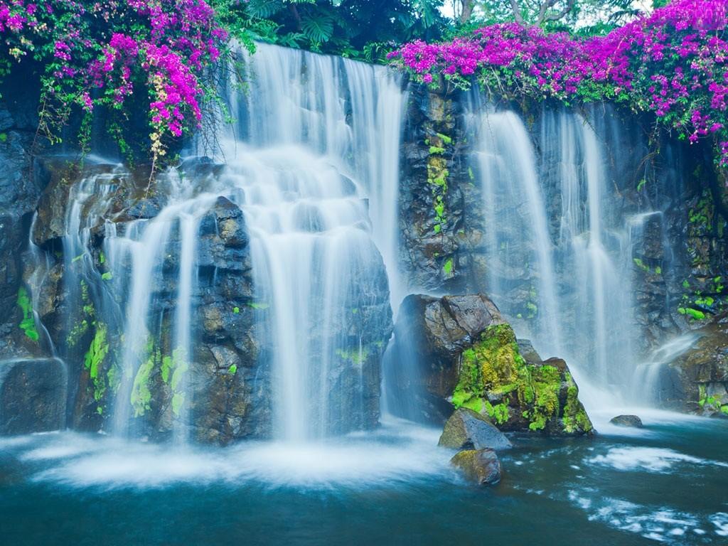 Tropic Waterfall Wallpapers