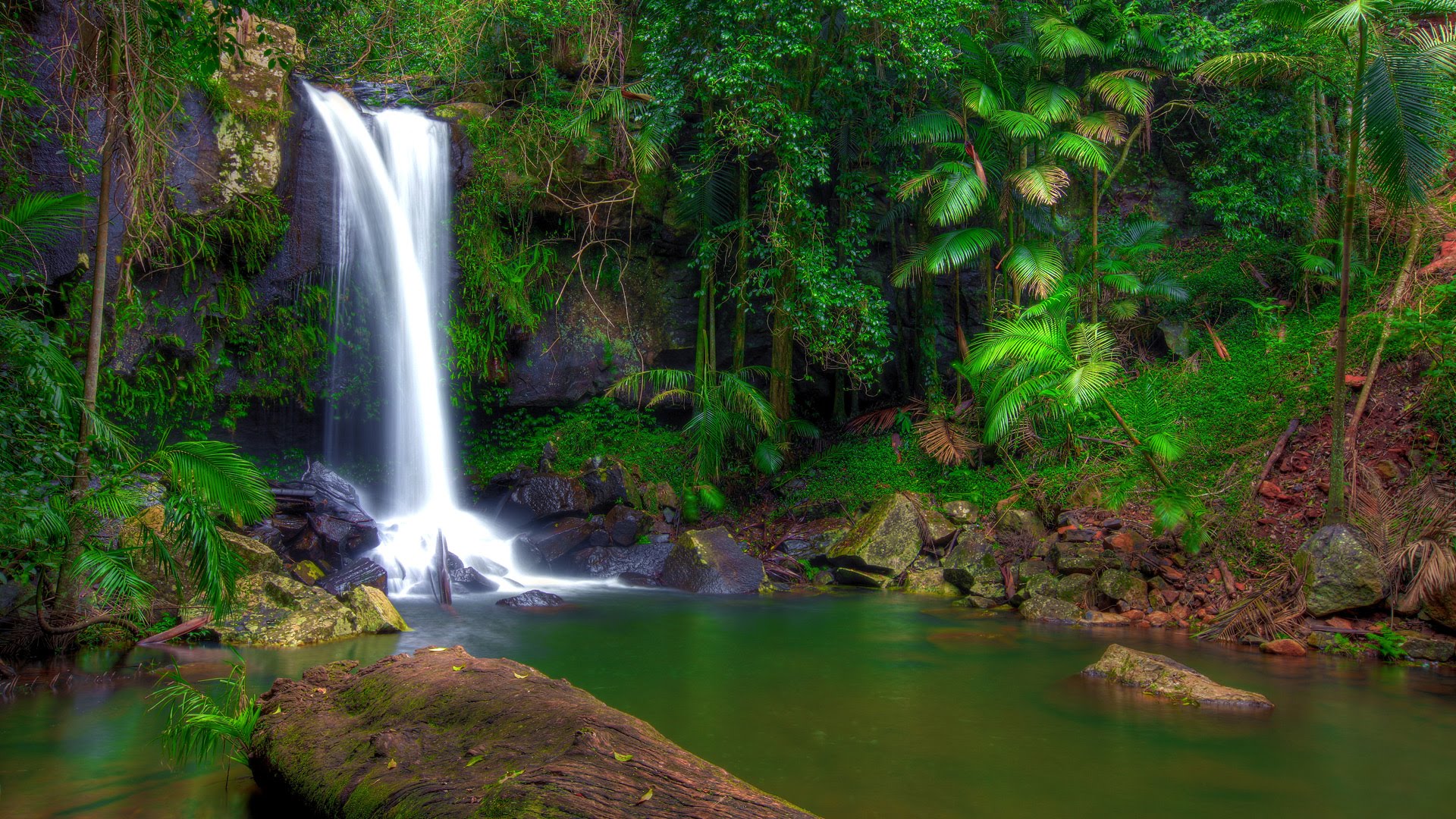 Tropic Waterfall Wallpapers